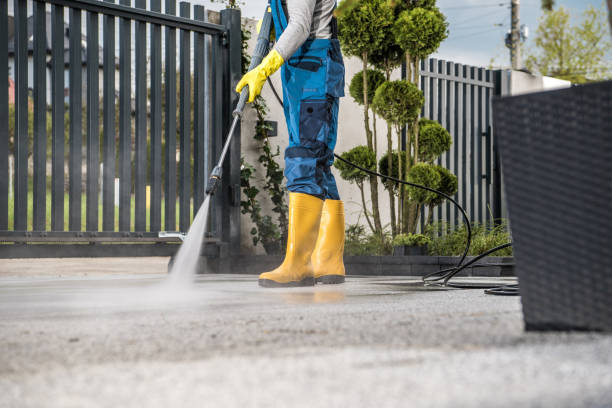 Professional Pressure Washing in Pine Air, FL
